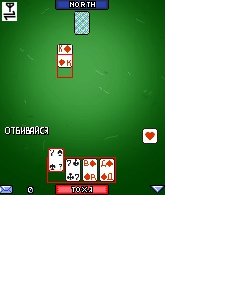 durak 176x208