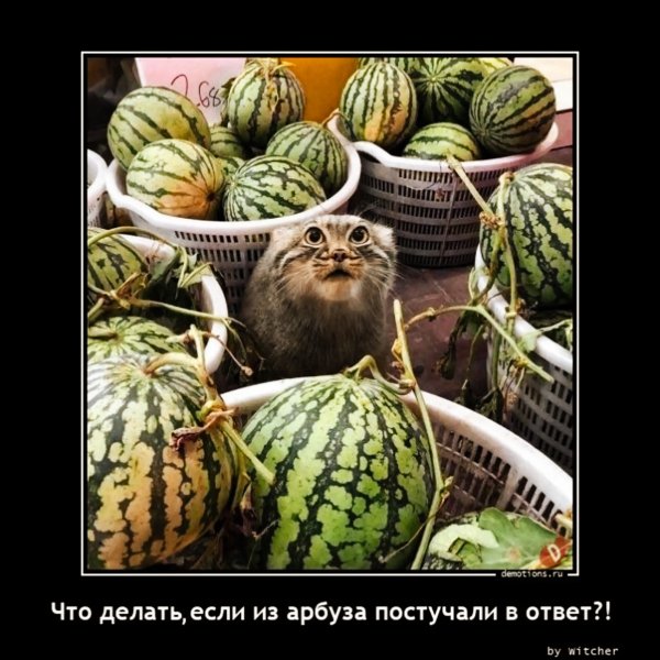IMG 20230922 221952