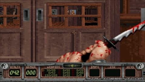 Shadow Warrior