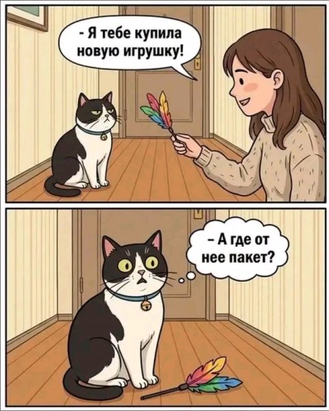 file_103322918