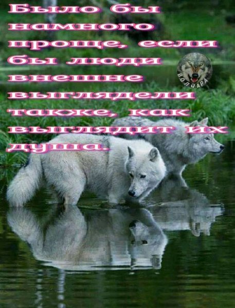 FB IMG 16375337342447972