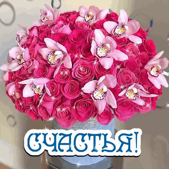 IMG 20240101 232152