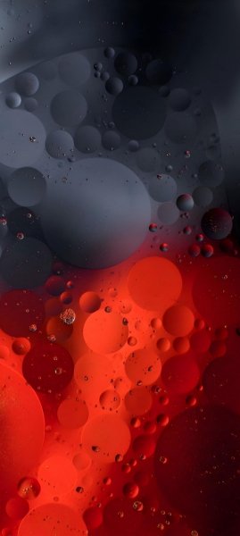 adapted 1080x2408 1786783834