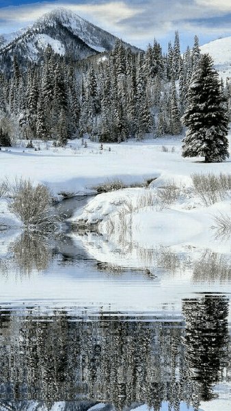 file_76514834