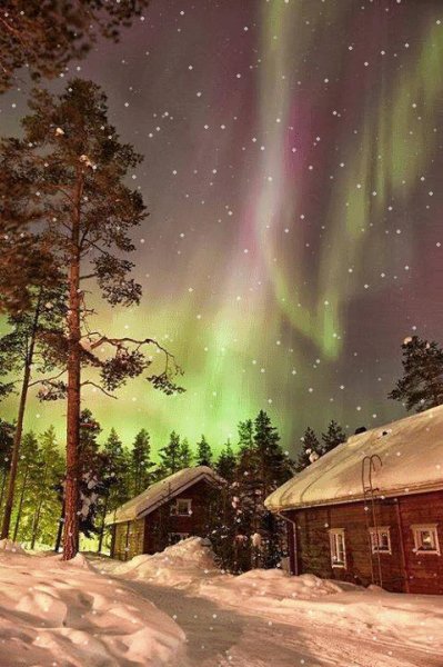file_88042330