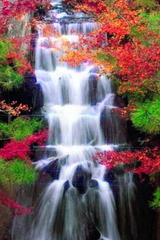 file_57619391