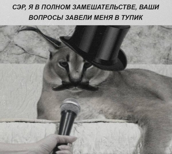 IMG 20260522 231854 211