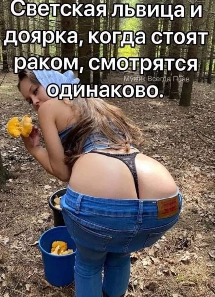 FB IMG 1713678260928