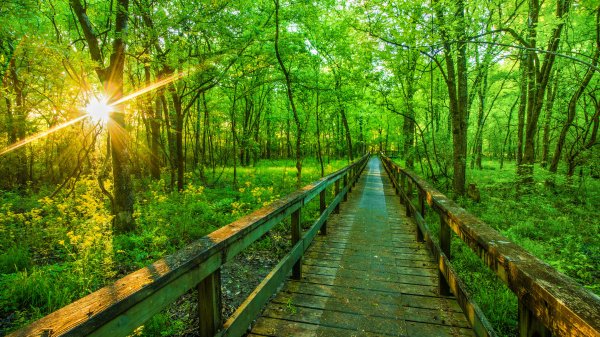 HikingNatchez ROW5481453055 UHD