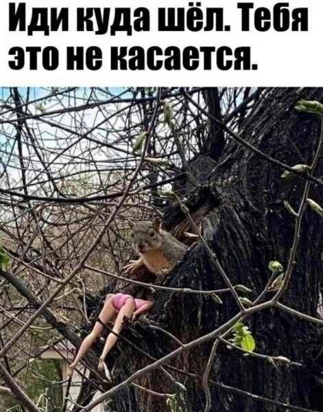 ,