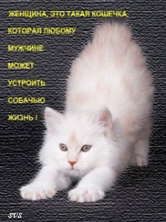 Безимени-14