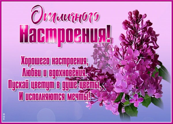 пожелание 100013