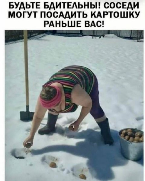 IMG 20250402 170232 339