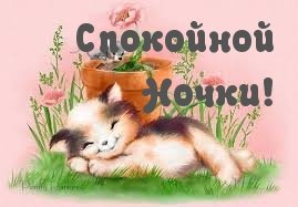 IMG 20181204 788252