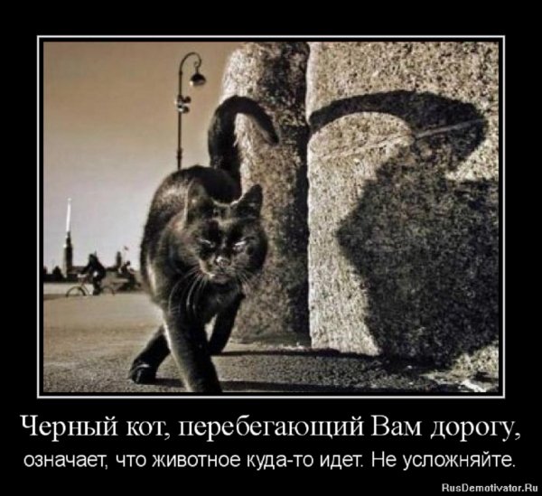 Чёрный кот, перебегаюий вам дорогу...