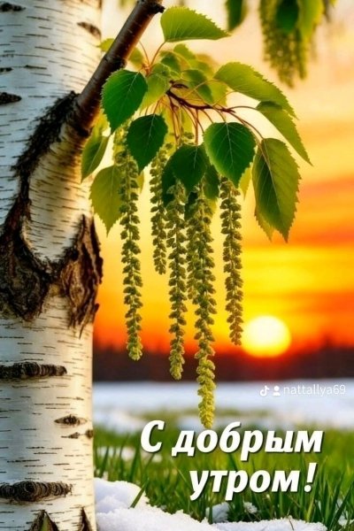 IMG-20260425-WA0003