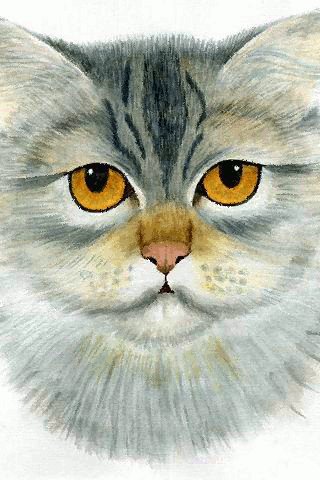 file_75928551