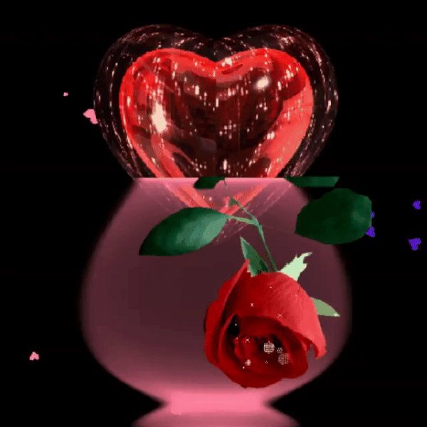 image (1)