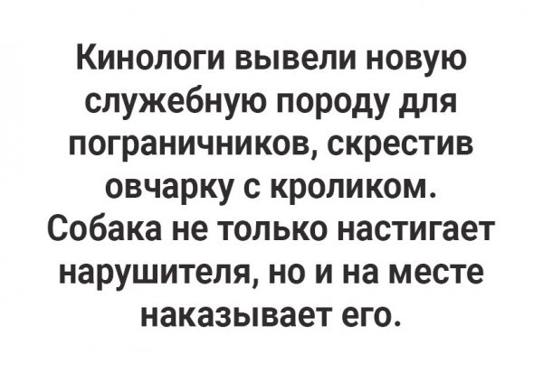 IMG 20250227 173803