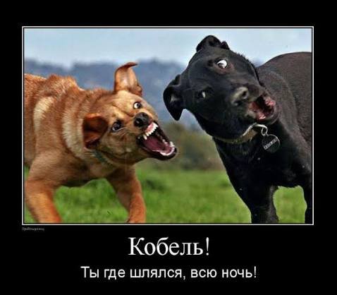 Images (13)