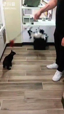 Я Ловлю, Ловлю!