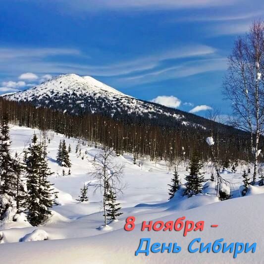 Открытка 8 ноября день сибири