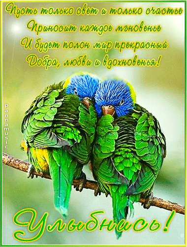 Улыбнись!