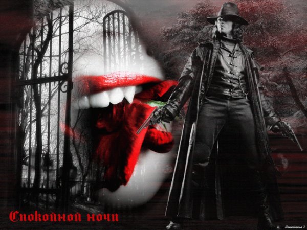 Спокойной ночи!