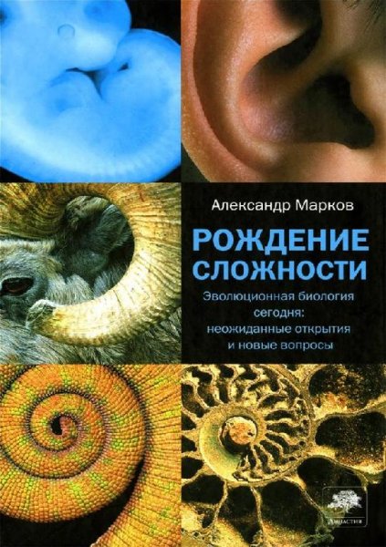 Рождение сложности