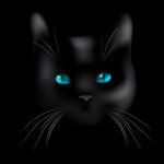 file_79814374
