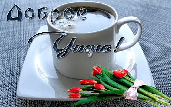 IMG 20220615 113542