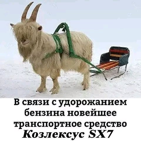 file_103248718