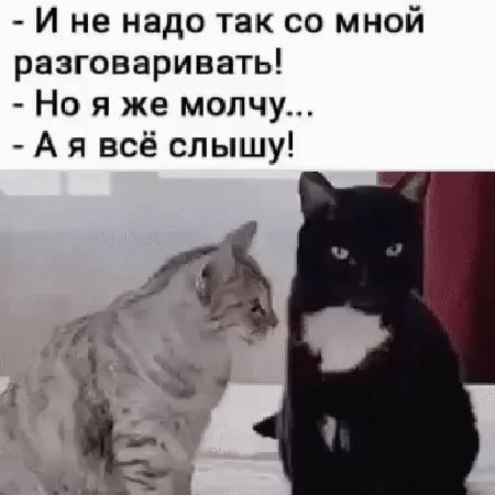 file_84303158