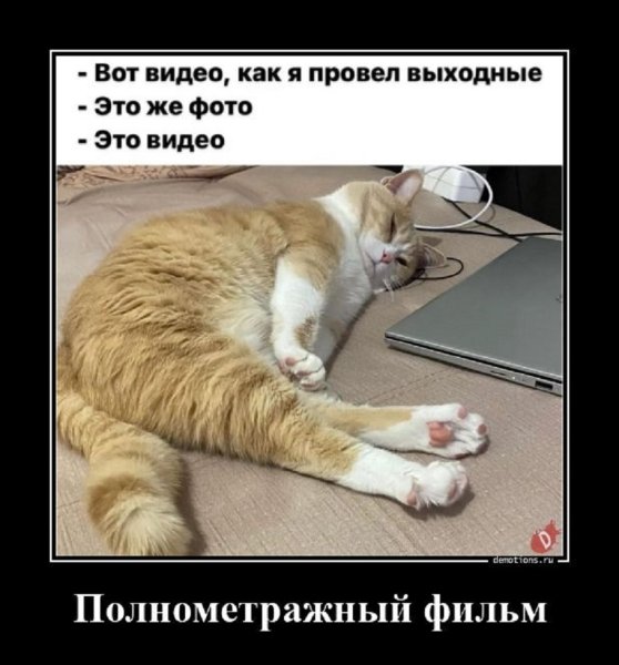 Вот видео как я провёл выходные