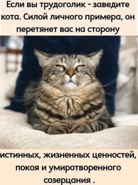 file_103417002