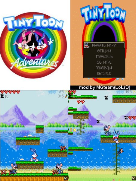 Tiny Toon adventures