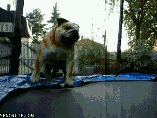 gifs 20