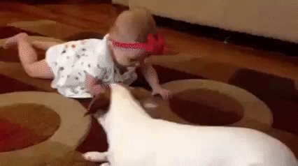 gif 1466409216