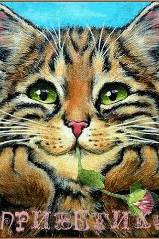 file_79874072