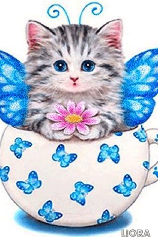 file_79650386
