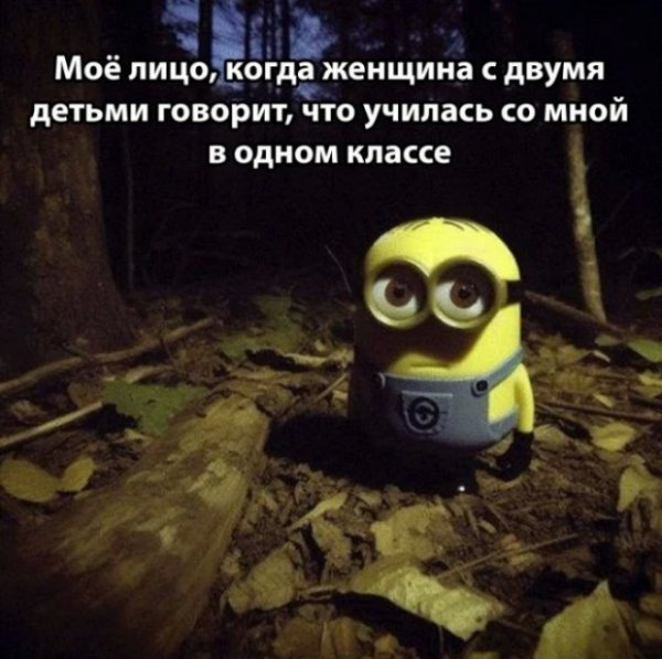 file_99964159