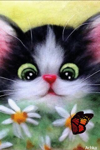 file_81740143
