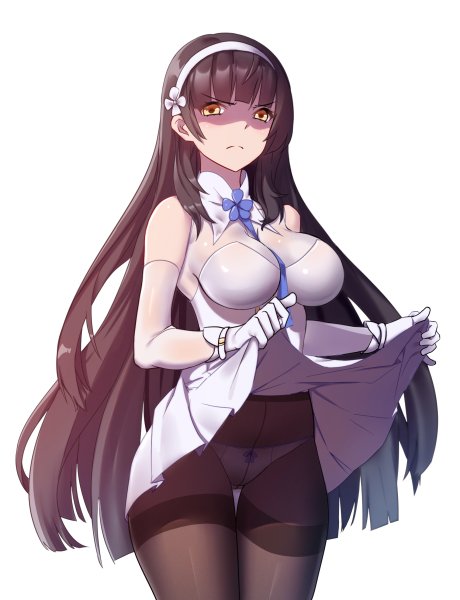 Type 95