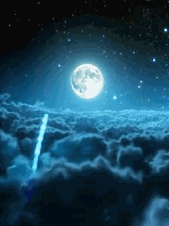 file_49295000