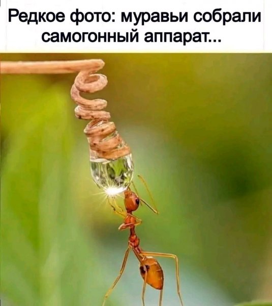 file_102990104