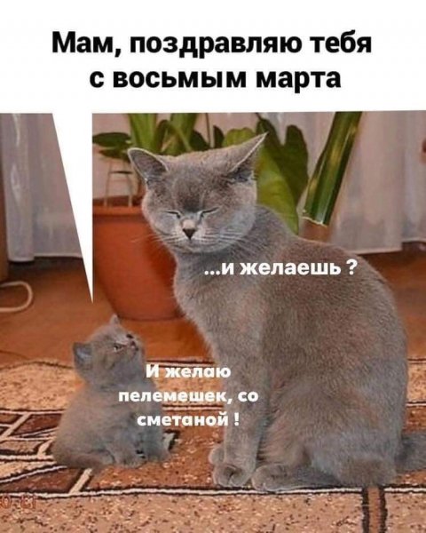 file_84469018