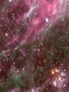 file_40363892