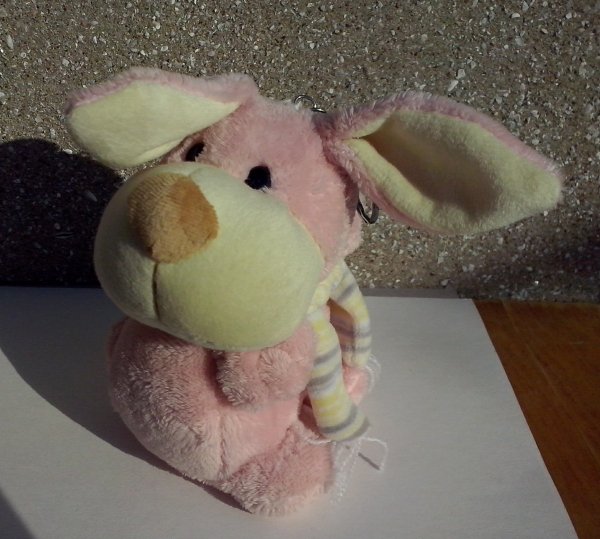 CAM02336-1