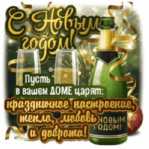 IMG 20231231 225253