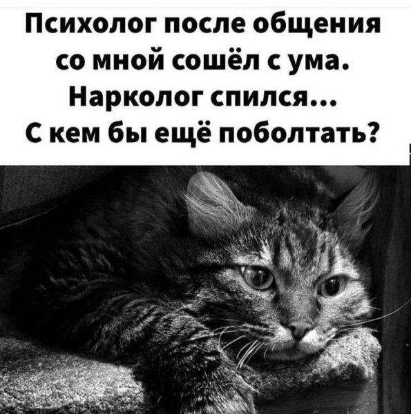 IMG 20250712 224242 105